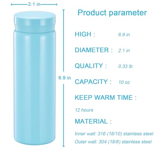 10oz Mini Water Bottle Stainless Steel Small Flask
