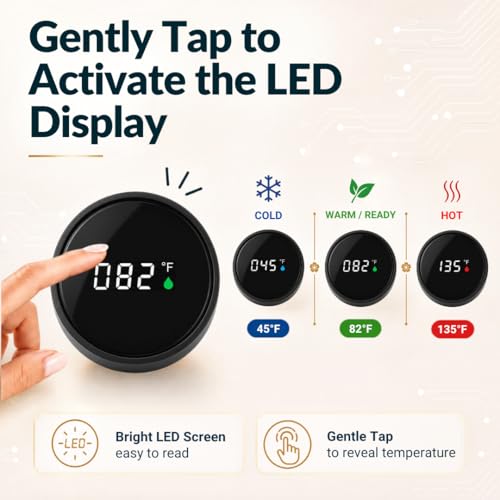 Tea Infuser for Loose Leaf Tea Smart Water Bottle with Fahrenheit Temperature Display