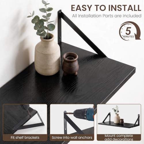 Wall Mounted Floating Shelves Set of 2 (2 Count)