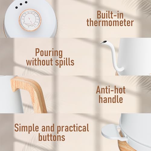 Electric Gooseneck Kettle with Thermometer