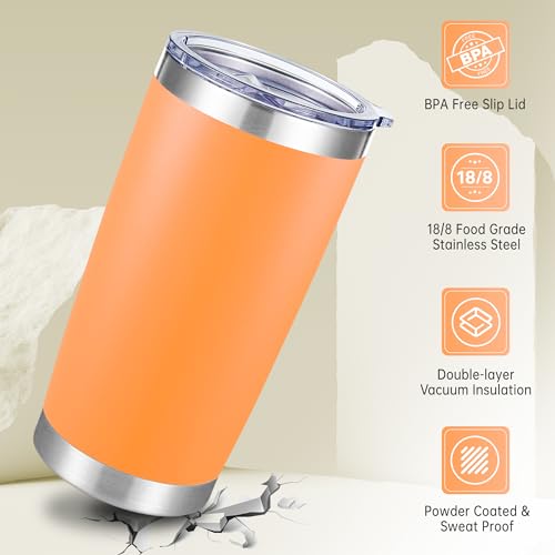 20 oz Tumblers Bulk Stainless Steel Tumbler with Lid (6 Count)