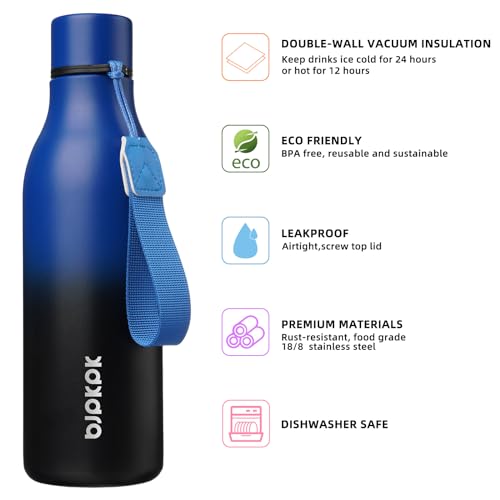 18oz Insulated Water Bottle