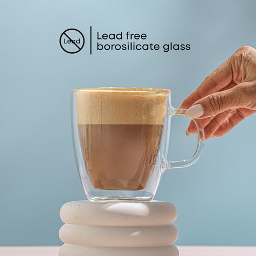 Savor Double Wall Insulated Glasses (2 Count)