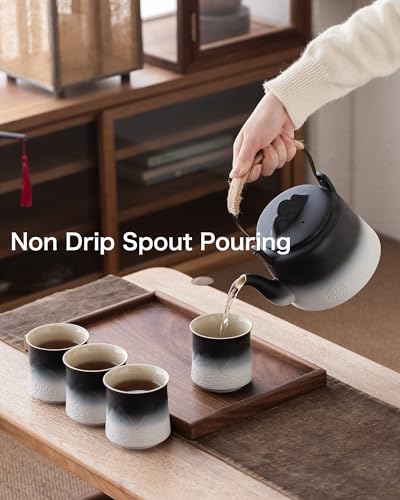 Japanese Tea Set with 4 Cups