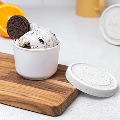 8oz Mini Ice Cream Containers (4 Count)