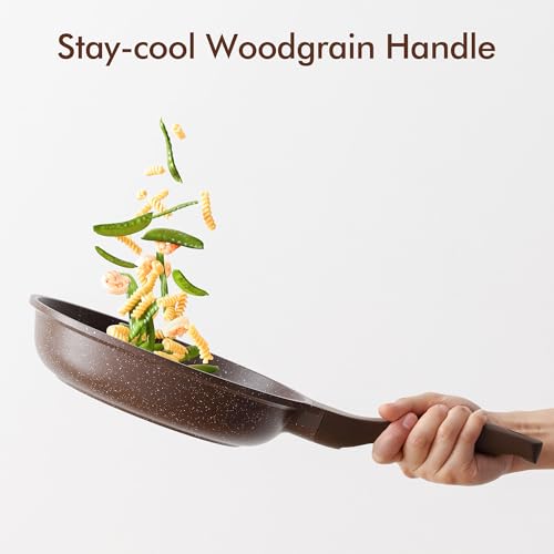 Nonstick Frying Pan Skillet