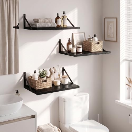 Wall Mounted Floating Shelves Set of 3 (3 Count)