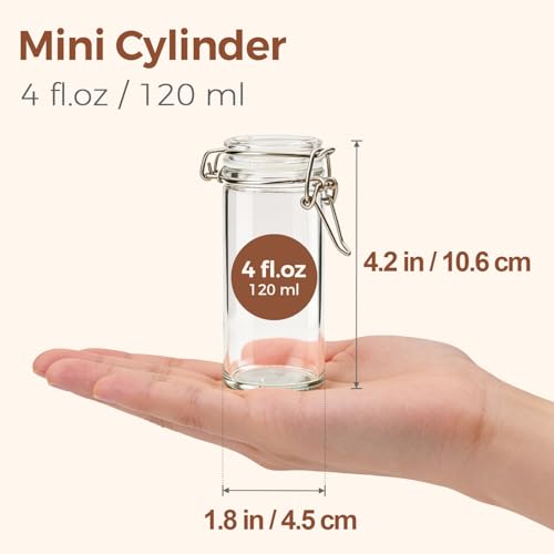 Small Glass Spice Jars with Airtight Lids 4oz 6 Pack with Labels (6 Count)