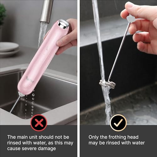InstaWhisk Milk Frother with Variable Speed