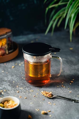 Glass Tea Cup with Infuser and Lid & Stainless Steel 400ml