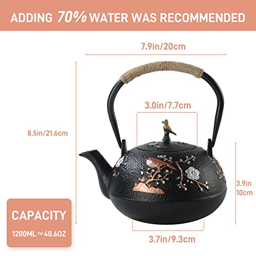 Cast Iron Teapot SECHUDO Teapot for Stovetop Safe Coated with Enameled Interior