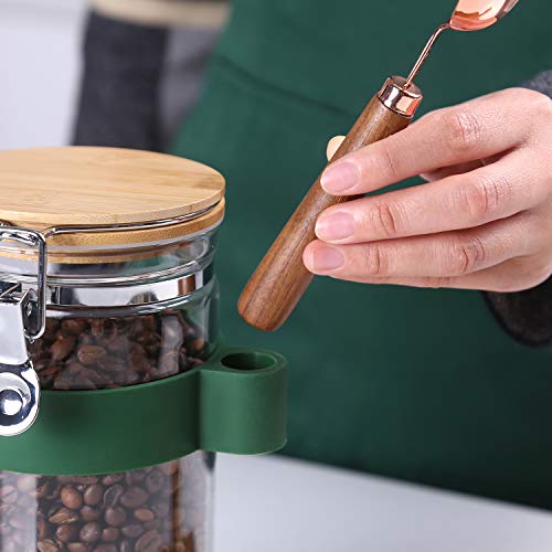 KKC Vacuum Sealed Coffee Bean Storage Container with Scoop for 1 lb Beans