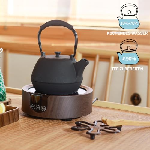 Cast Iron Teapot