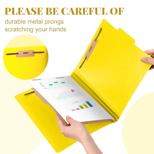 12 Pcs Classification Folder Letter Size (12 Count)