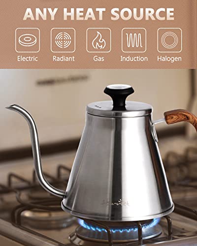 Gooseneck Kettle with Thermometer for Pour Over Coffee and Tea