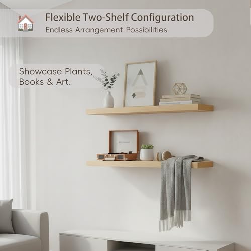 Floating Wall Shelves (2 Count)
