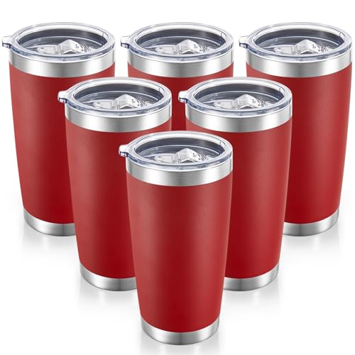 20 oz Tumblers Bulk Stainless Steel Tumbler with Lid (6 Count)