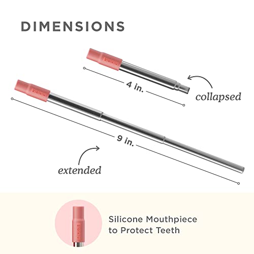 Reusable Metal Straw with Case