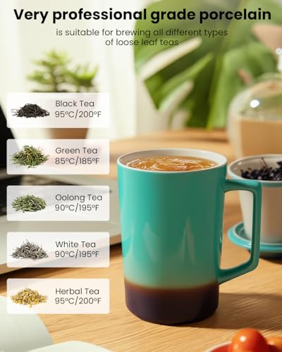 15 oz Ceramic Tea Infuser Cup with Lid