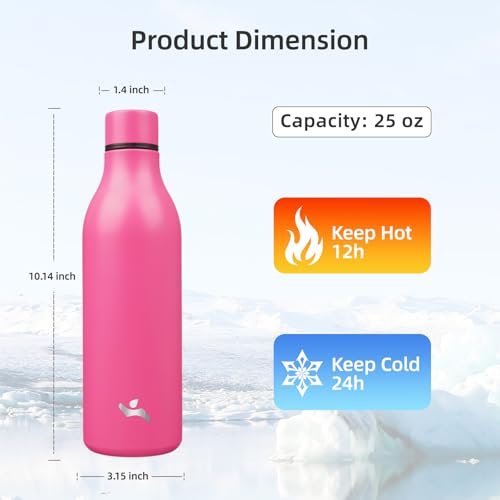 25 oz Insulated Stainless Steel Metal Water Bottle with Strap
