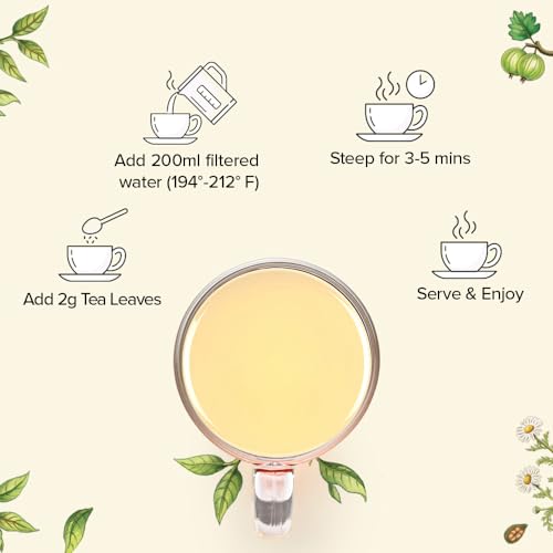 Assorted White Tea Sampler Gift Set