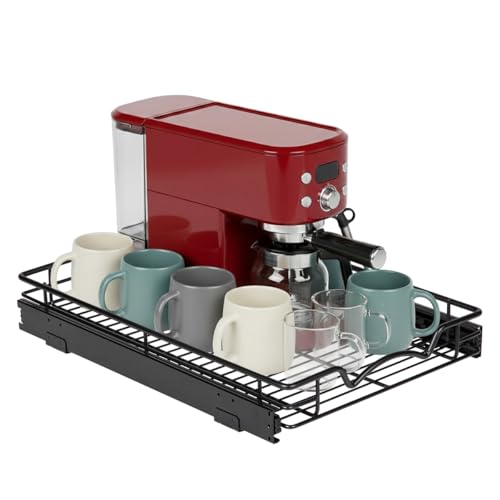 Pull Out Cabinet Organizer
