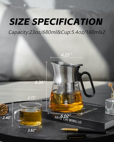 Glass Teapot with Infuser with 2 Cups for Loose Tea Steeper