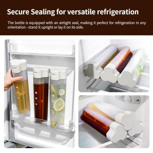 600ml 20oz Portable Cold Brew Coffee Maker with 300