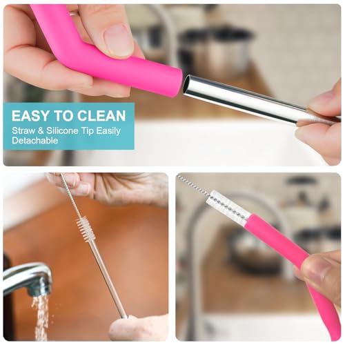 Reusable Stainless Steel Straws Set 6 PCS with 6 Silicone Tips (6 Count)