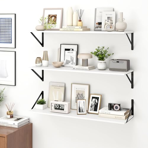 Deep Floating Shelves for Wall (2 Count)