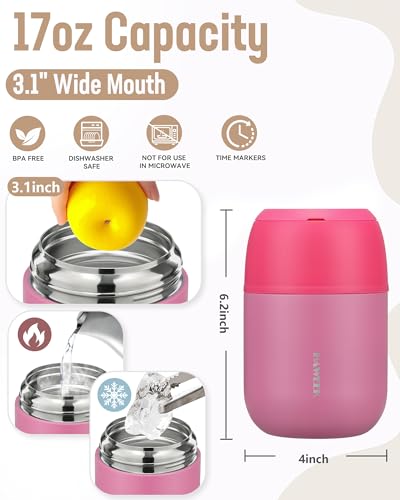 17oz Insulated Food Jar with Spoon