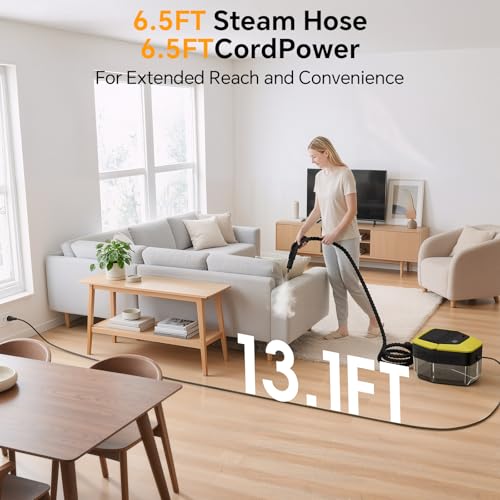 Steam Cleaner