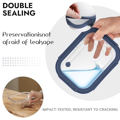 10 Pack Glass Food Storage Containers with Tempered Glass Lids (10 Count)