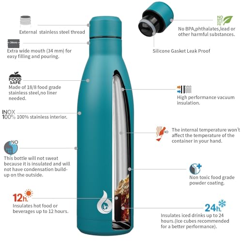 25 oz Insulated Stainless Steel Water Bottle
