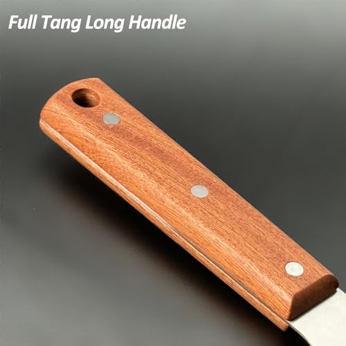 Multipurpose Bench Scraper Kitchen Utensil for Flat Top Griddle