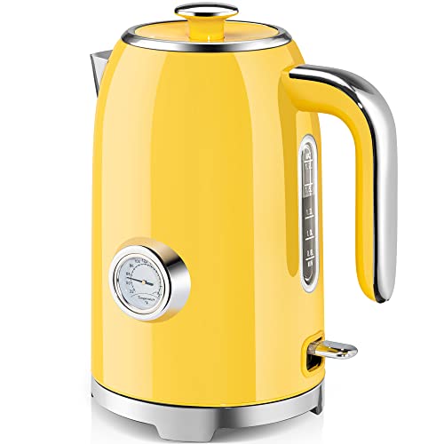 57oz Electric Kettle with Thermometer