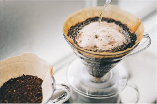 V60 Paper Coffee Filter (600 Count)