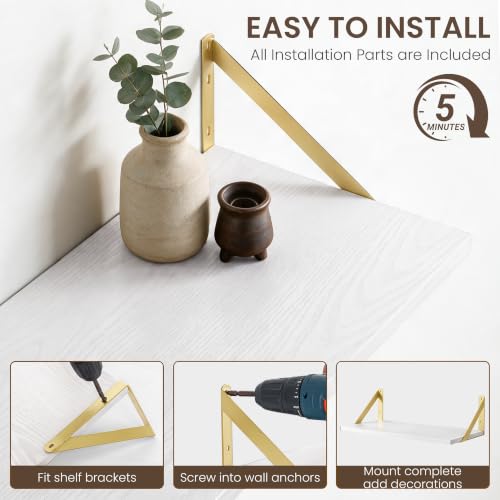 Wall Mounted Floating Shelves Set of 3