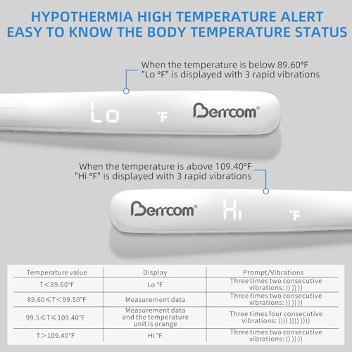 Rechargeable Medical Thermometer