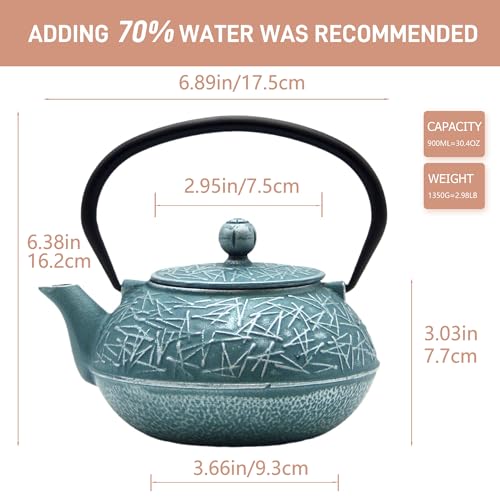 Cast Iron Tea Kettle