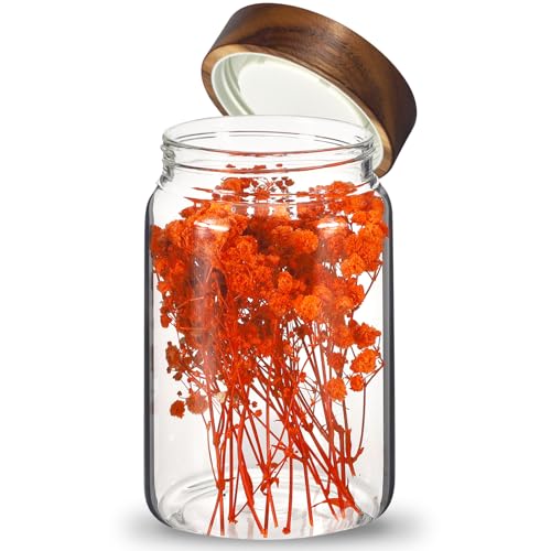 Glass Spice Jar Coffee Sugar Container Airtight Glass Jar Food Storage Canisters Bottle for Kitchen Seasoning Tea Herb Overnight Oats Bar Parfait Snacks
