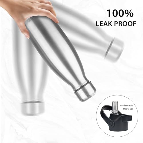 Insulated Water Bottle