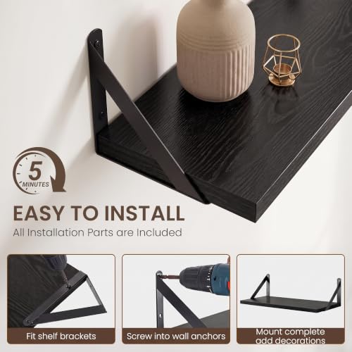Wall Mounted Floating Shelves Set of 2 (2 Count)