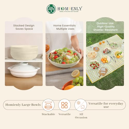65 oz Large Salad Bowls Wheat Straw Big Bowls 10 inch Serving Bowls Wheat Straw Plates Bowl Set of 6 Wide and Shallow Bowl for Kitchen Dishwasher Safe