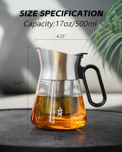17 oz Small Glass Teapot with Infuser For Loose Leaf Tea Steeper