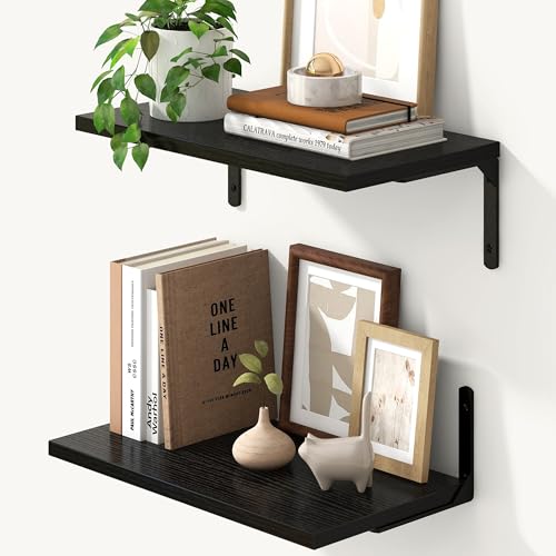 Deep Floating Shelves (2 Count)