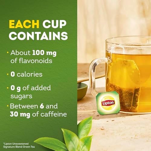 Signature Blend Green Tea with Jasmine 240 (240 Count)