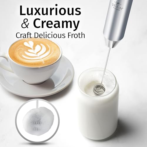 Rechargeable Milk Frother Handheld