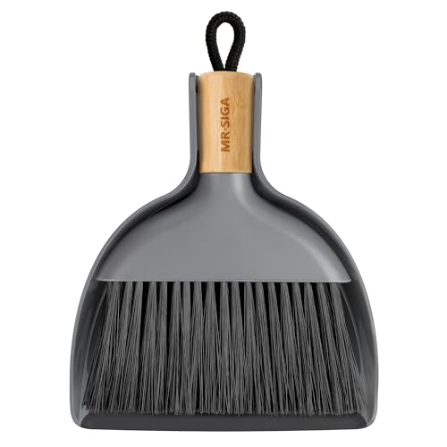 Mini Dustpan and Brush Set