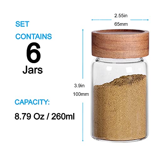 6 Pcs Small Glass Spice Jars with Label (6 Count)